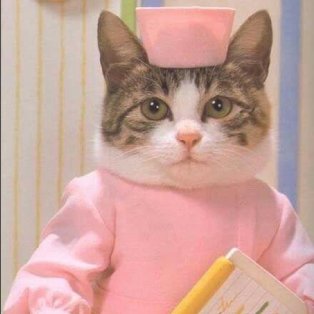 Meet your Posher, Hailey